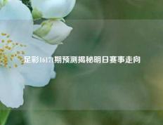 足彩16171期预测揭秘明日赛事走向