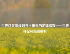 世界杯足彩规则卷土重来的足球盛宴——世界杯足彩规则解析