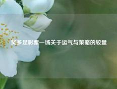 奖多足彩票一场关于运气与策略的较量