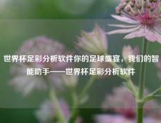 世界杯足彩分析软件你的足球盛宴，我们的智能助手——世界杯足彩分析软件