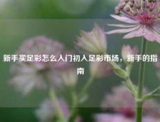新手买足彩怎么入门初入足彩市场，新手的指南