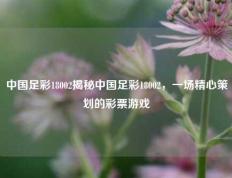中国足彩18002揭秘中国足彩18002，一场精心策划的彩票游戏
