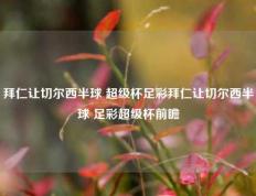 拜仁让切尔西半球 超级杯足彩拜仁让切尔西半球 足彩超级杯前瞻