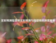 足彩预测陆慧明足彩预测与陆慧明的深度解析