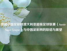 澳超中国足彩网澳大利亚超级足球联赛（Aussie Super League）与中国足彩网的联结与展望