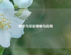 概率与足彩理解与应用