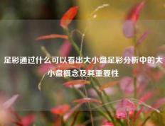 足彩通过什么可以看出大小盘足彩分析中的大小盘概念及其重要性