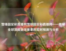 雪缘园足彩直播网雪缘园足彩直播网——揭秘全球顶级足球赛事的实时预测与分析