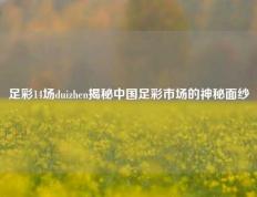 足彩14场duizhen揭秘中国足彩市场的神秘面纱