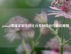 gooooal雪缘足彩及时比分实时比分与最佳策略