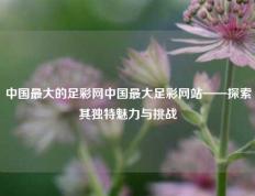 中国最大的足彩网中国最大足彩网站——探索其独特魅力与挑战