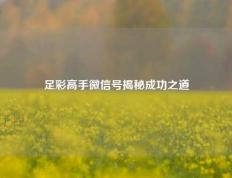 足彩高手微信号揭秘成功之道