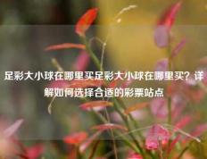 足彩大小球在哪里买足彩大小球在哪里买？详解如何选择合适的彩票站点