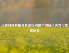 足彩对阵身价分析顶级对决中的经济实力与比赛结果
