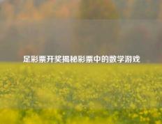 足彩票开奖揭秘彩票中的数学游戏