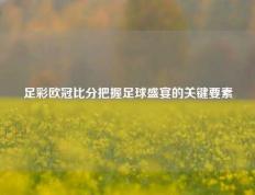 足彩欧冠比分把握足球盛宴的关键要素