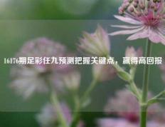 16176期足彩任九预测把握关键点，赢得高回报