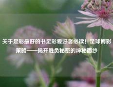 关于足彩最好的书足彩爱好者必读！足球博彩策略——揭开胜负秘密的神秘面纱