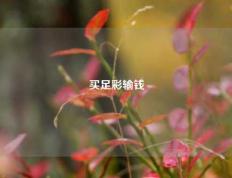买足彩输钱