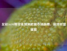 足彩16198期奖金预测把握市场脉搏，赢得财富盛宴