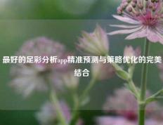 最好的足彩分析app精准预测与策略优化的完美结合