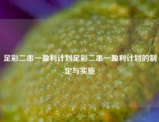 足彩二串一盈利计划足彩二串一盈利计划的制定与实施