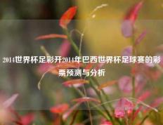 2014世界杯足彩开2014年巴西世界杯足球赛的彩票预测与分析