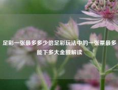 足彩一张最多多少倍足彩玩法中的一张票最多能下多大金额解读