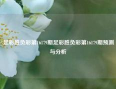 足彩胜负彩第16179期足彩胜负彩第16179期预测与分析
