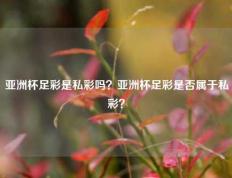 亚洲杯足彩是私彩吗？亚洲杯足彩是否属于私彩？