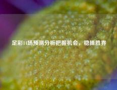 足彩14场预测分析把握机会，稳操胜券