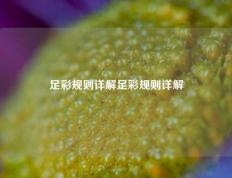 足彩规则详解足彩规则详解
