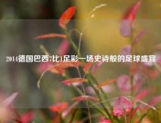 2014德国巴西7比1足彩一场史诗般的足球盛宴