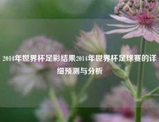 2014年世界杯足彩结果2014年世界杯足球赛的详细预测与分析