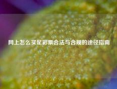 网上怎么买足彩票合法与合规的途径指南