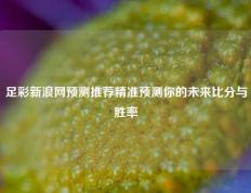 足彩新浪网预测推荐精准预测你的未来比分与胜率