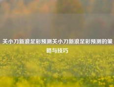 关小刀新浪足彩预测关小刀新浪足彩预测的策略与技巧