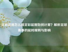 足彩延期怎么算足彩延期如何计算？解析足球赛事的延时规则与影响