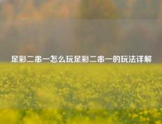 足彩二串一怎么玩足彩二串一的玩法详解