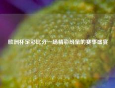 欧洲杯足彩比分一场精彩纷呈的赛事盛宴