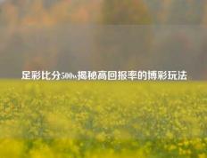 足彩比分500w揭秘高回报率的博彩玩法