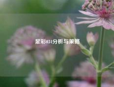 足彩034分析与策略