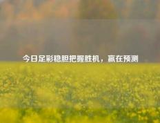 今日足彩稳胆把握胜机，赢在预测