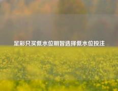 足彩只买低水位明智选择低水位投注