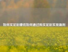 如何买足彩赚钱如何通过购买足彩实现盈利