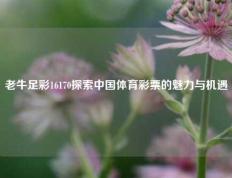 老牛足彩16170探索中国体育彩票的魅力与机遇