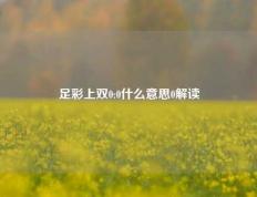 足彩上双0:0什么意思0解读