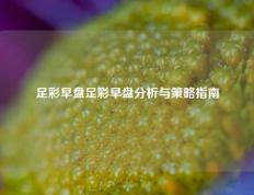 足彩早盘足彩早盘分析与策略指南