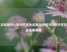 足彩胜负14场开奖奖金结果足彩胜负14场开奖奖金结果揭晓