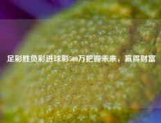 足彩胜负彩进球彩500万把握未来，赢得财富